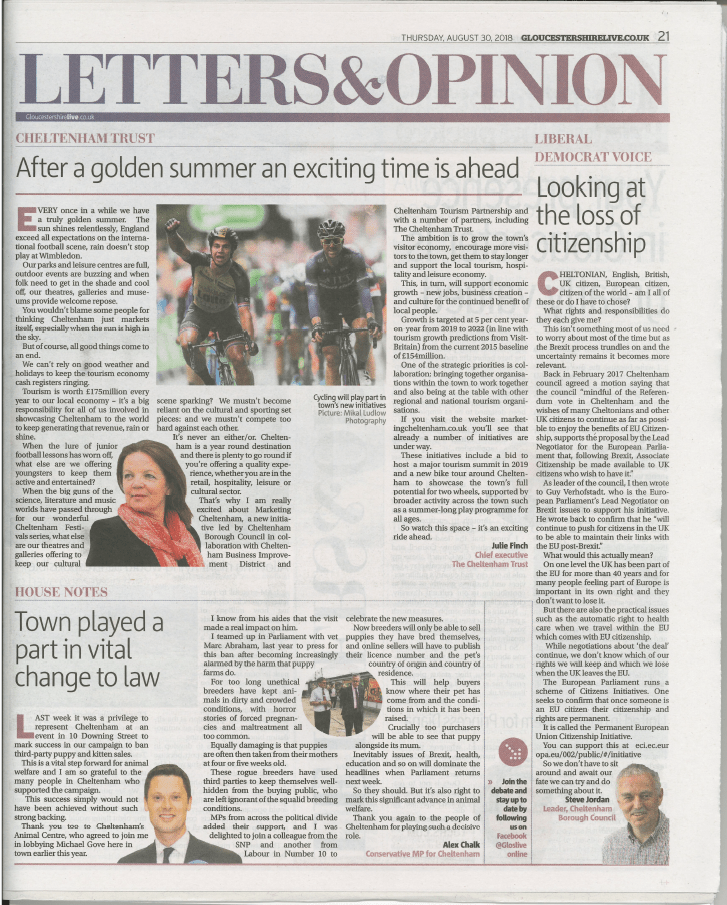 Letter and Opinion.png